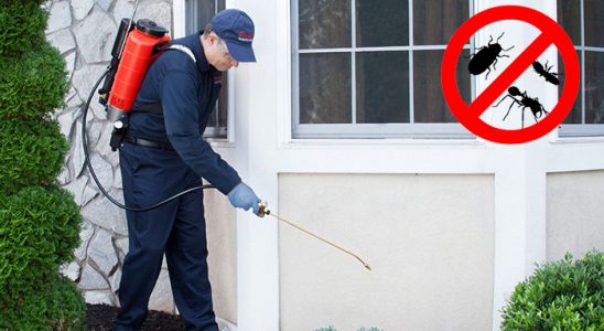 Buca Koop Bit İlaçlama böcek ilaçlama ve haşere kontrolü — ilaclama-tr.com